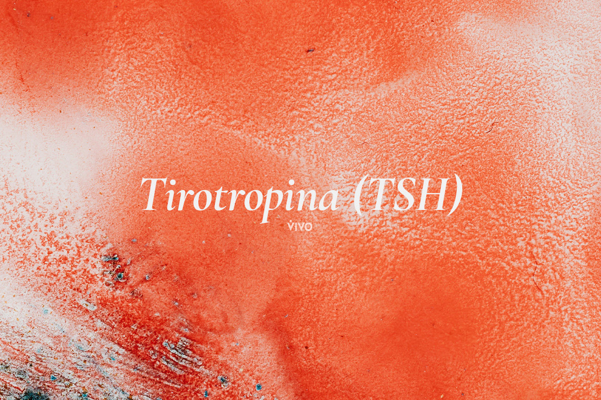 Tirotropina (TSH)